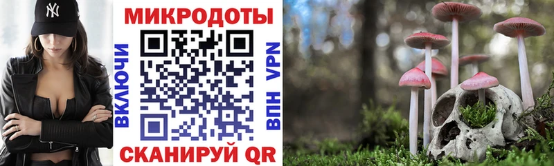 Галлюциногенные грибы Psilocybe  Киреевск 